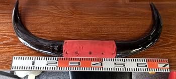 Amazon.co.jp: 水牛 角 置物 インテリア 装飾 オブジェ 飾り