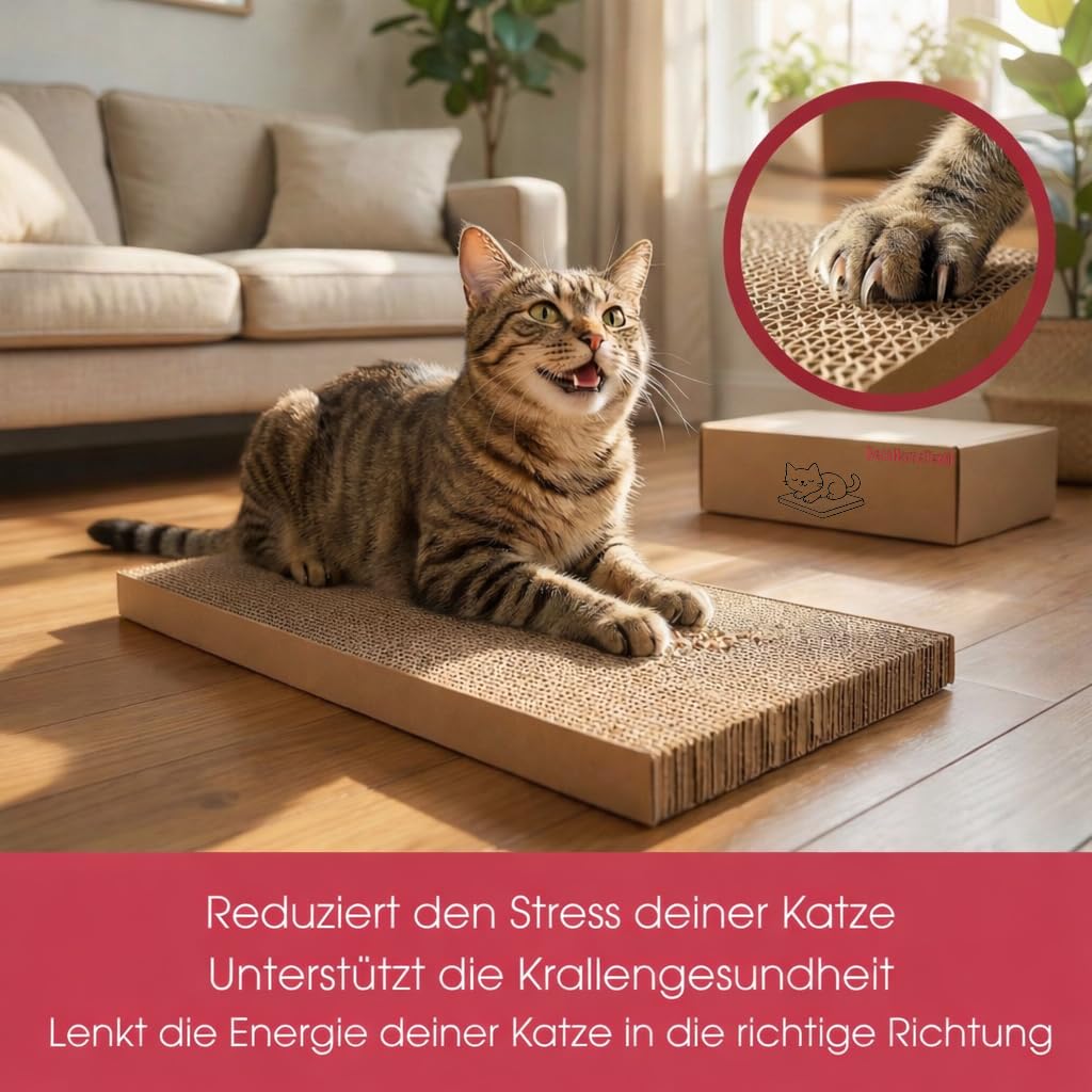 DecoHomeTextil Tiragraffi Krallen Kiste 4x5 cartoni 44×29,5×13 cm
