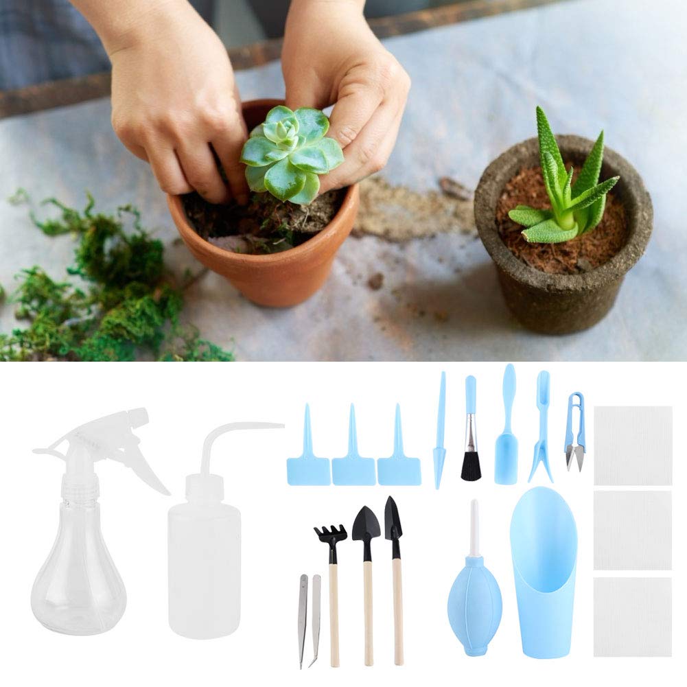 Leichtes Sukkulenten-Werkzeugset, Leicht zu Transportieren und zu Reinigen, für Bonsai Im Innenbereich, Kleine Pflanzen mit Bonsai-Pflanzen-Werkzeug (BLUE)
