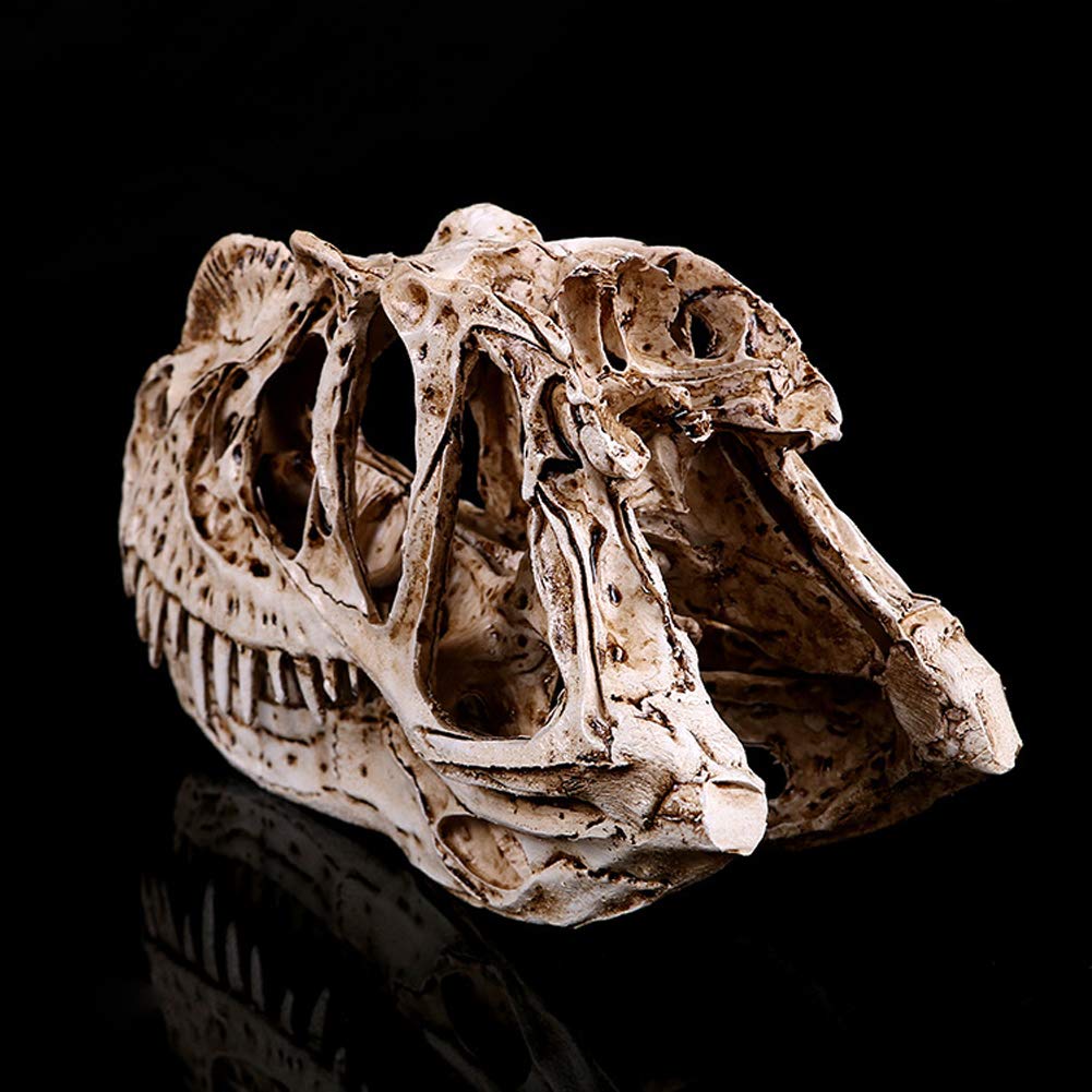 Model Statua Żywicy Ręcznie Robiony Dinozaur - Edukacyjne Zabawki Naukowe, Archeologiczne Badania Zwierząt, Model edukacyjny Anatomia B