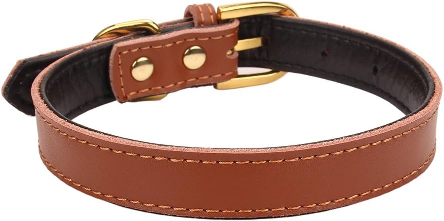 Aolove Basic Classic Padded Leather Pet Collars for Cats Puppy Small Medium Dogs (Brown, X-Small) : Pet Supplies