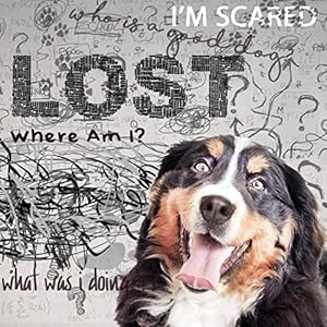 The Blissful Dog Bernese Mountain Dog Age Well Spray Aromatherapy