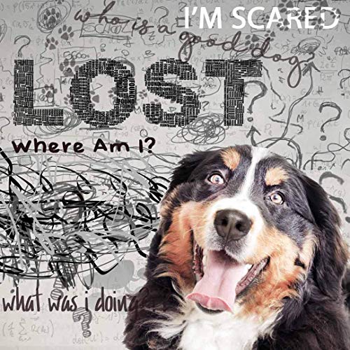 The Blissful Dog Bernese Mountain Dog Age Well Spray Aromatherapy The Blissful Dog Bernese Mountain Dog Age Well Spray Aromatherapy