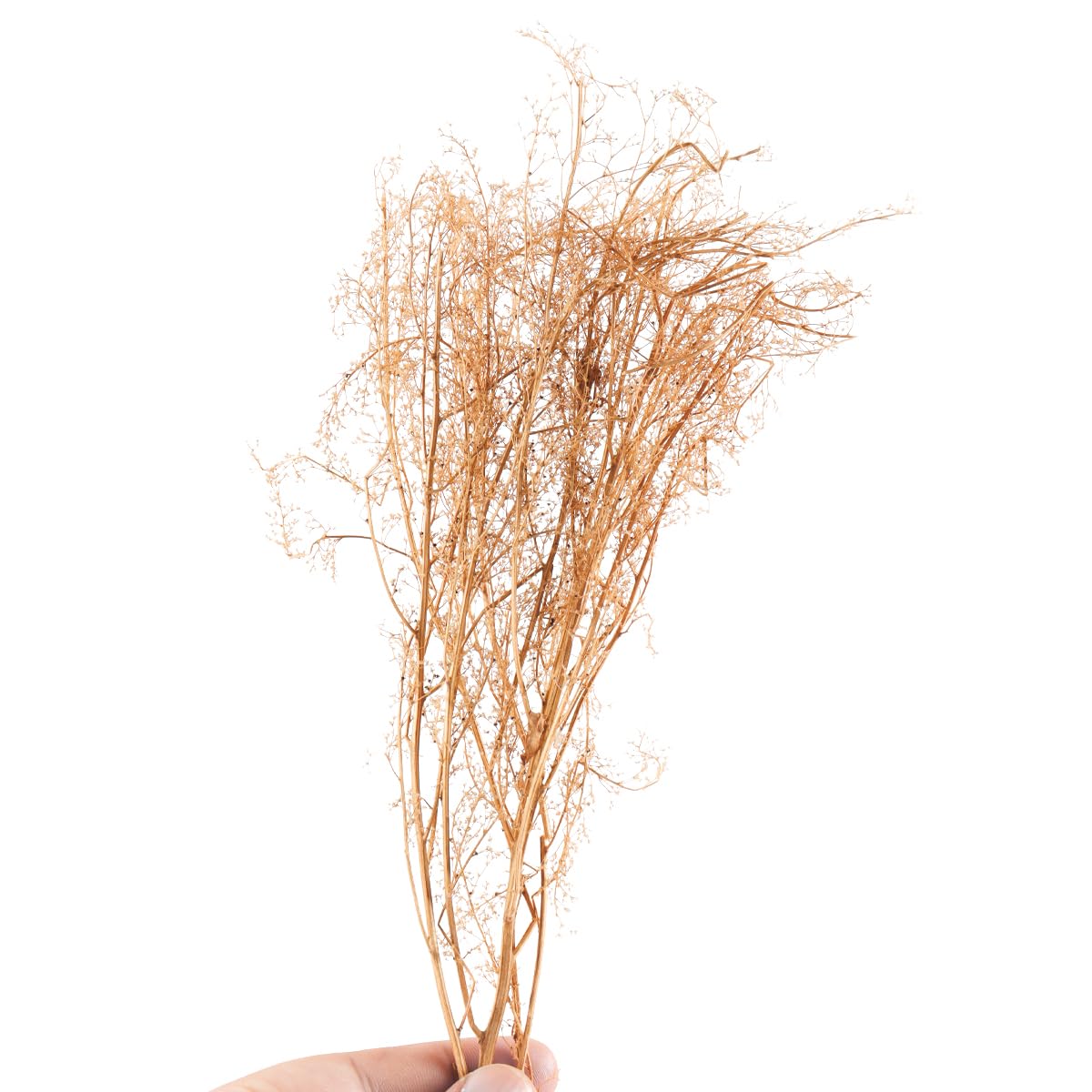 CENPEK Seafoam Trees Box Set Model Scene Materials Miniature Bushes with Branches for Diorama DIY Scenery Model Landscaping - Image 2