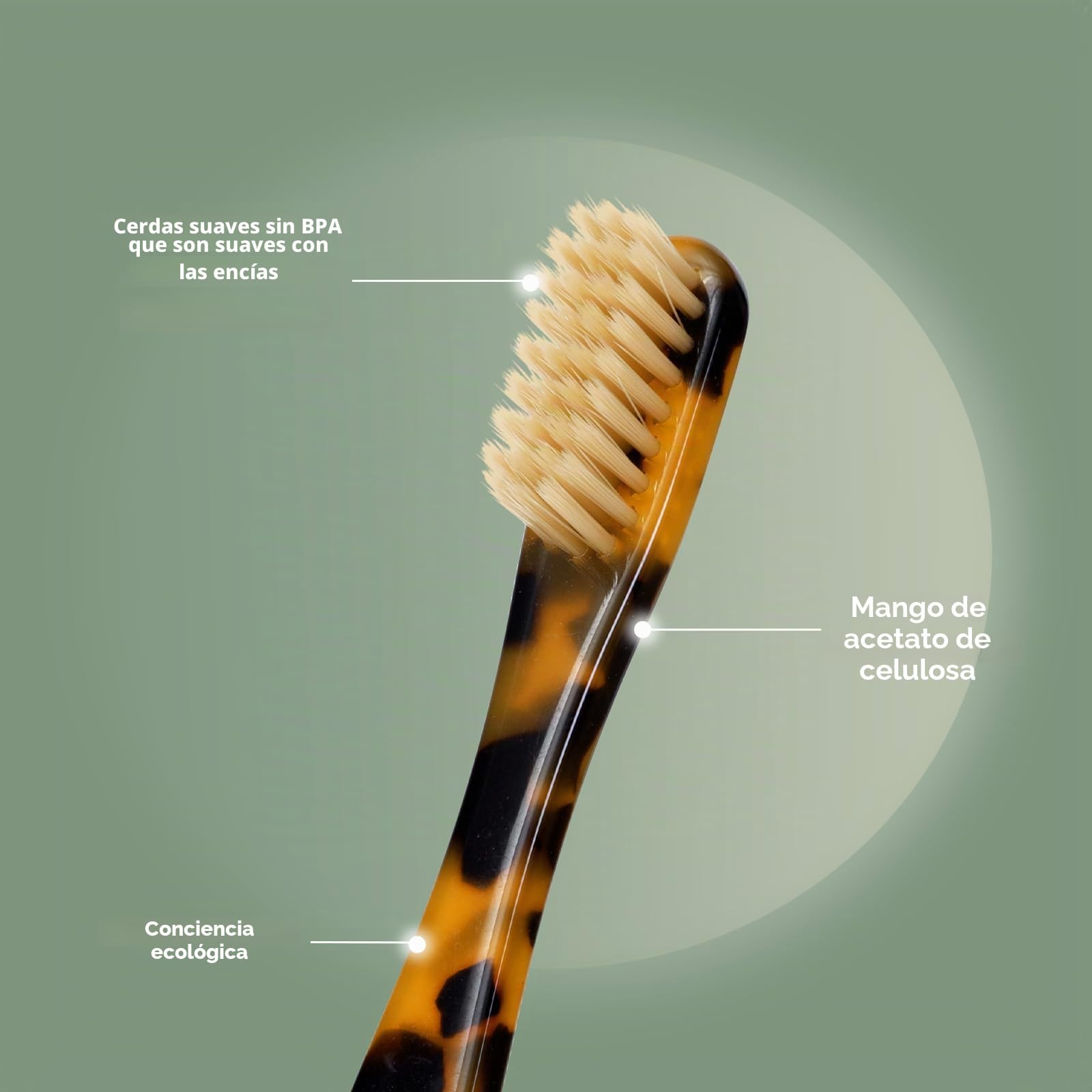 Isshah Cepillos de dientes biodegradables y ecológicos de acetato de celulosa, 8 unidades