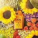 Local Hive North California Raw Unfiltered Honey – 16 oz, 100% Pure US Honey, Sourced from American Bees and Beekeepers - Natural Sweetener, Ideal for Tea, Baking, and Cooking