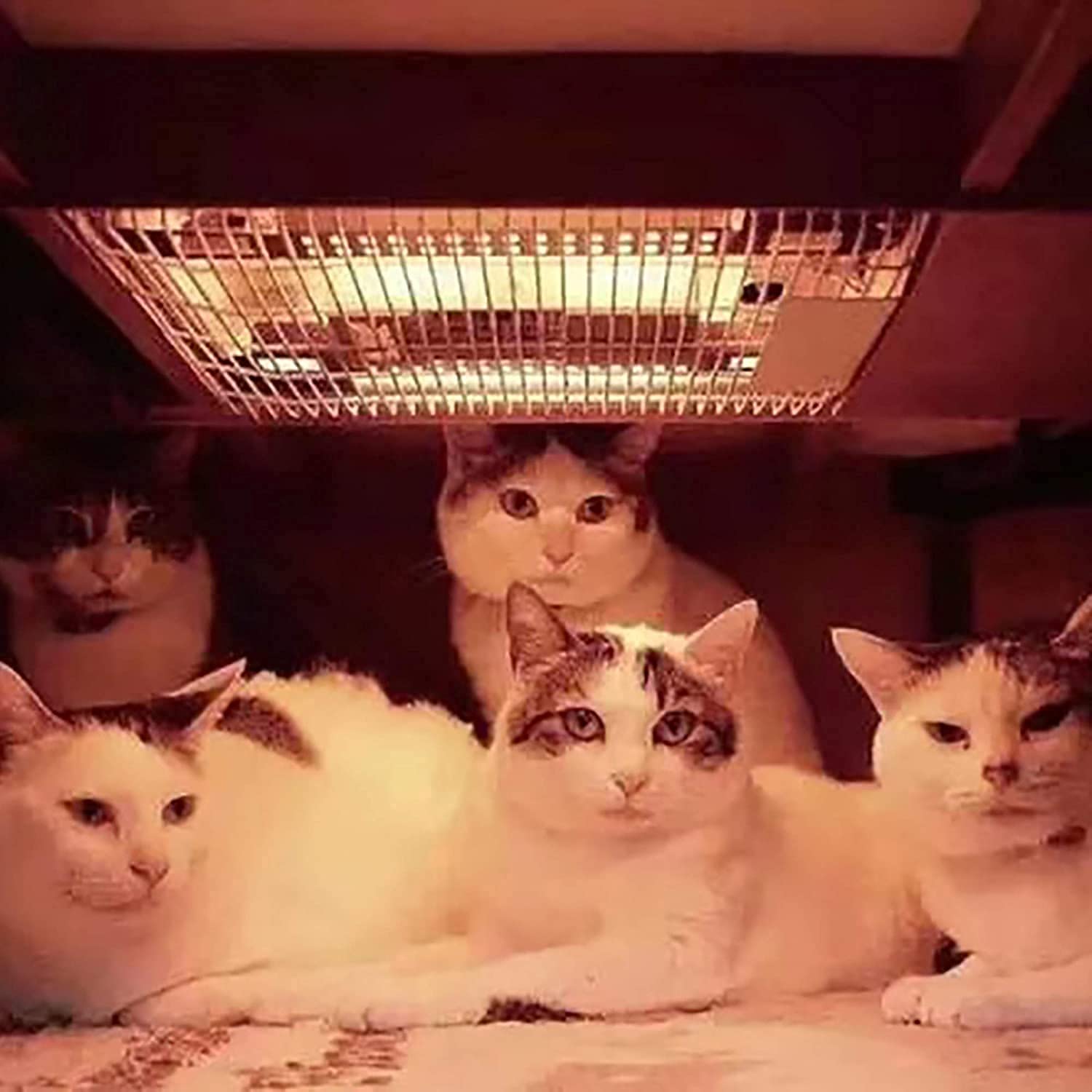 Zestaw stołów Kotatsu ze stołem Kocyk Podgrzewacz elektryczny, japoński stół piecowy, stół grzewczy Tatami, stolik do podgrzewania stóp, stół Kotatsu Futon, biały stół little surprise