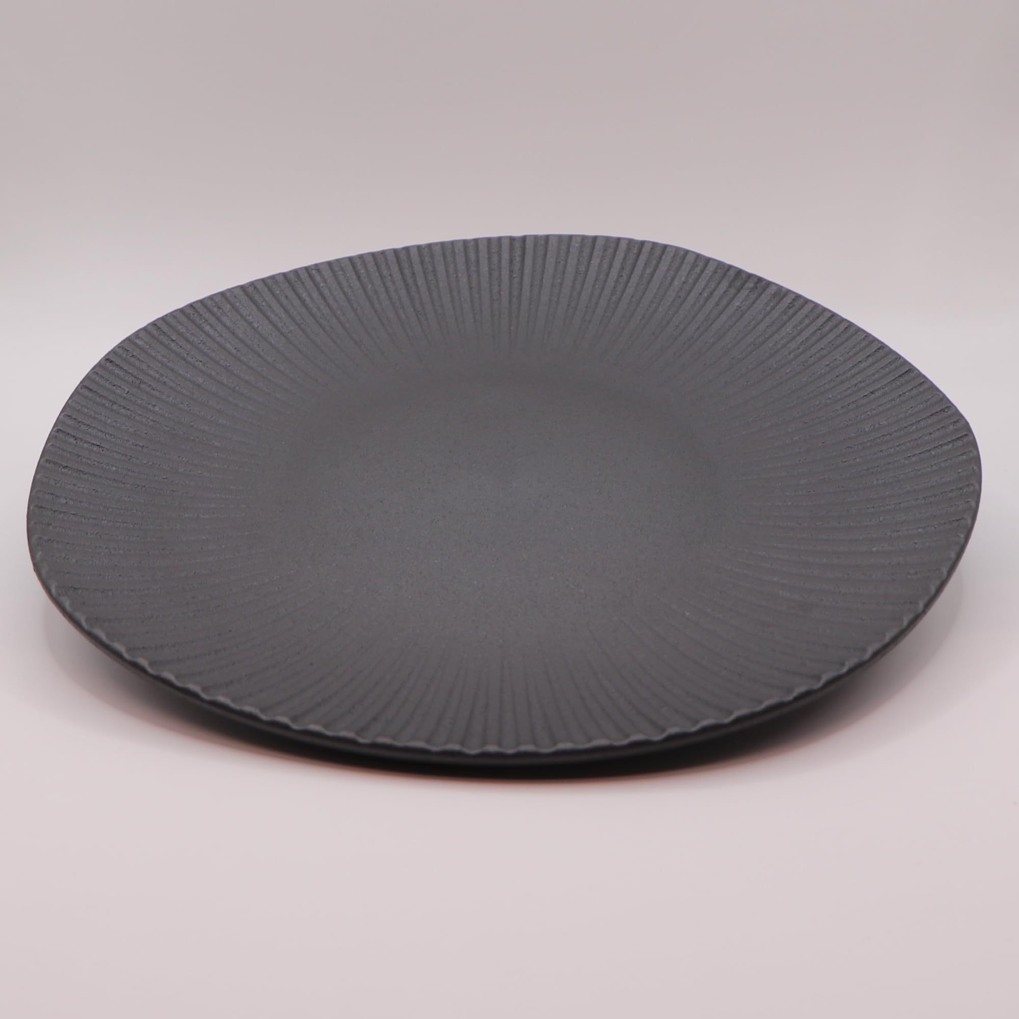 Amazon.co.jp: 【ware hendey】 デザイン皿24cm 割れない皿 日本製
