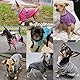 HuaLiSiJi Hundepullover Kleine Hunde Chihuahua Kleidung Welpen Hunde Hoodie, Warm und Leicht, Mit Einer Weichen Textur, Elastizität Leicht zu Tragen (Pink+Lila, S)