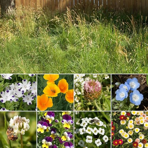 Image of Ferry-Morse Flowering Grass Alternative Seed Mix, 400,000+, 1 lb