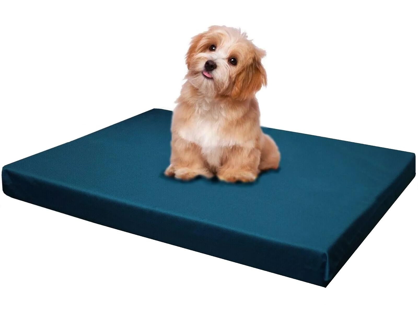 FOAMSUPA Heavy Duty Pet Dog Bed Mattress Mat Cushion with Tough Waterproof cover (Navy Blue, Small 60cm x 45cm x 5cm – 24″ x 18″ x 2″)