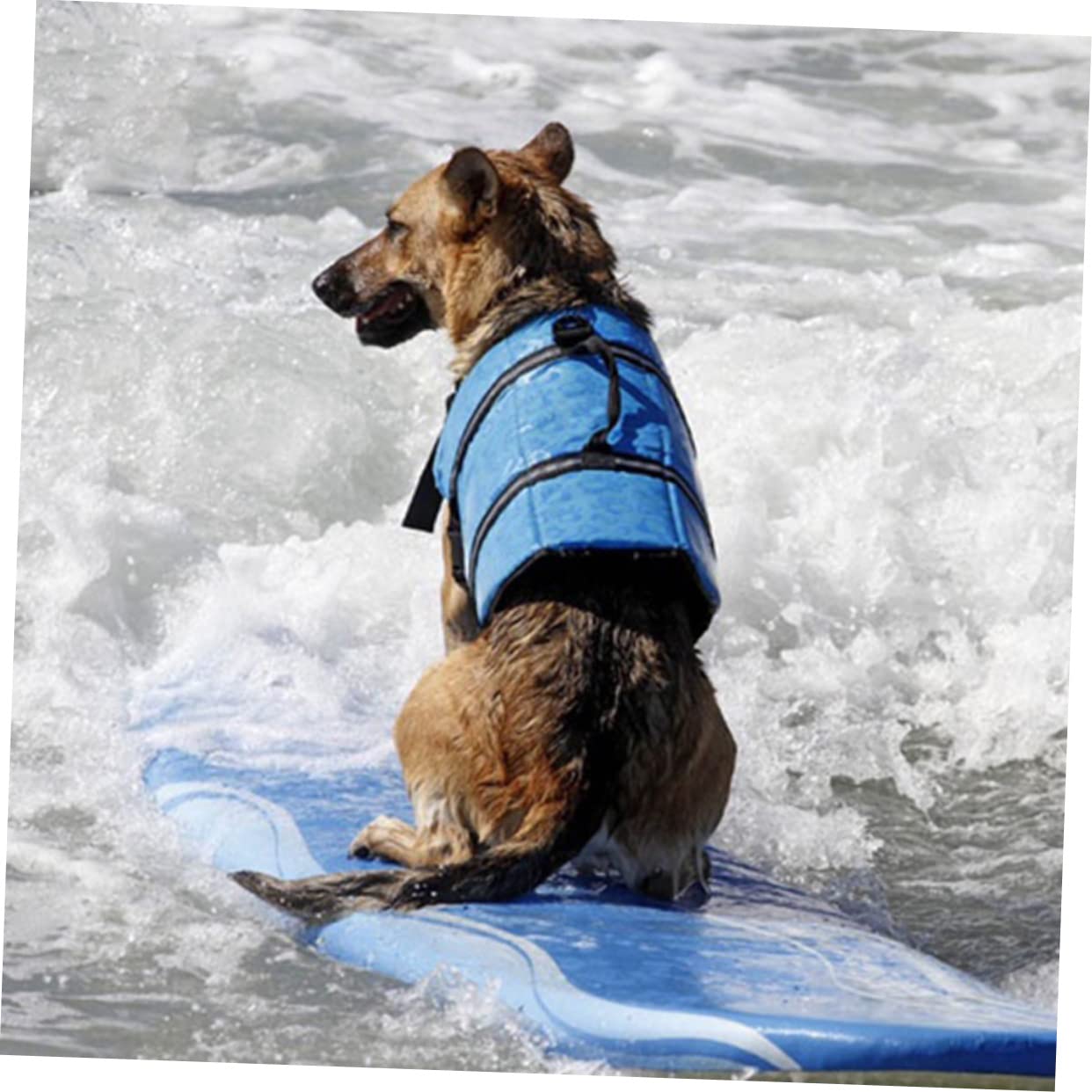 Toddmomy Vest for Swimming Dog Adjustable Belt Bright Patterns Safe for Pool Boating