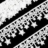 Lace Trim with Tassel, White Sewing Fringe Tassel Lace Trim for Wedding Bridal Dress Party...