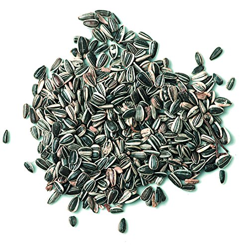 ERDTMANNS - Zonnebloempitten ongepeld voor vrijlevende vogels, 2,5 kg - Image 3