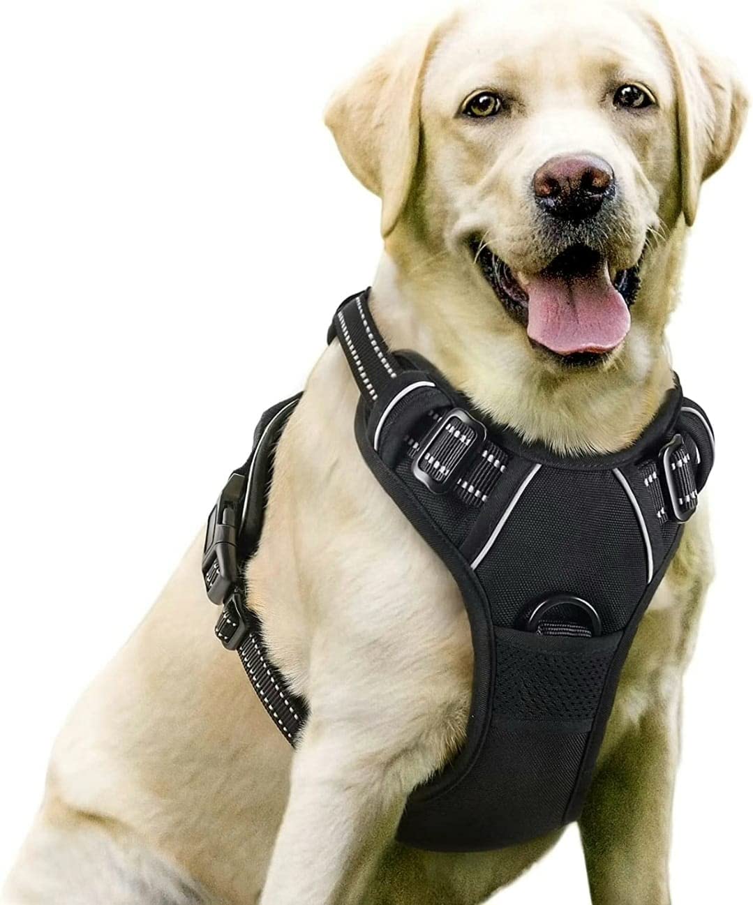 See full amazon price history chart for E-Gen Dog Harness Adjustable No-Pull Comfortable Pet Harness for Medium Dogs (Black) E-Gen Dog Harness Adjustable No-Pull Comfortable Pet Harness for Medium Dogs (Black) (B0BZW4493W) Amazon Price History, Amazon Price Tracker