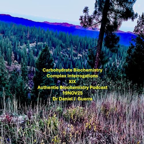 Carbohydrate Biochemistry Complex Interrogations XIX . Part B. Authentic Biochemistry Podcast 19NOV25 Dr Daniel J Guerra