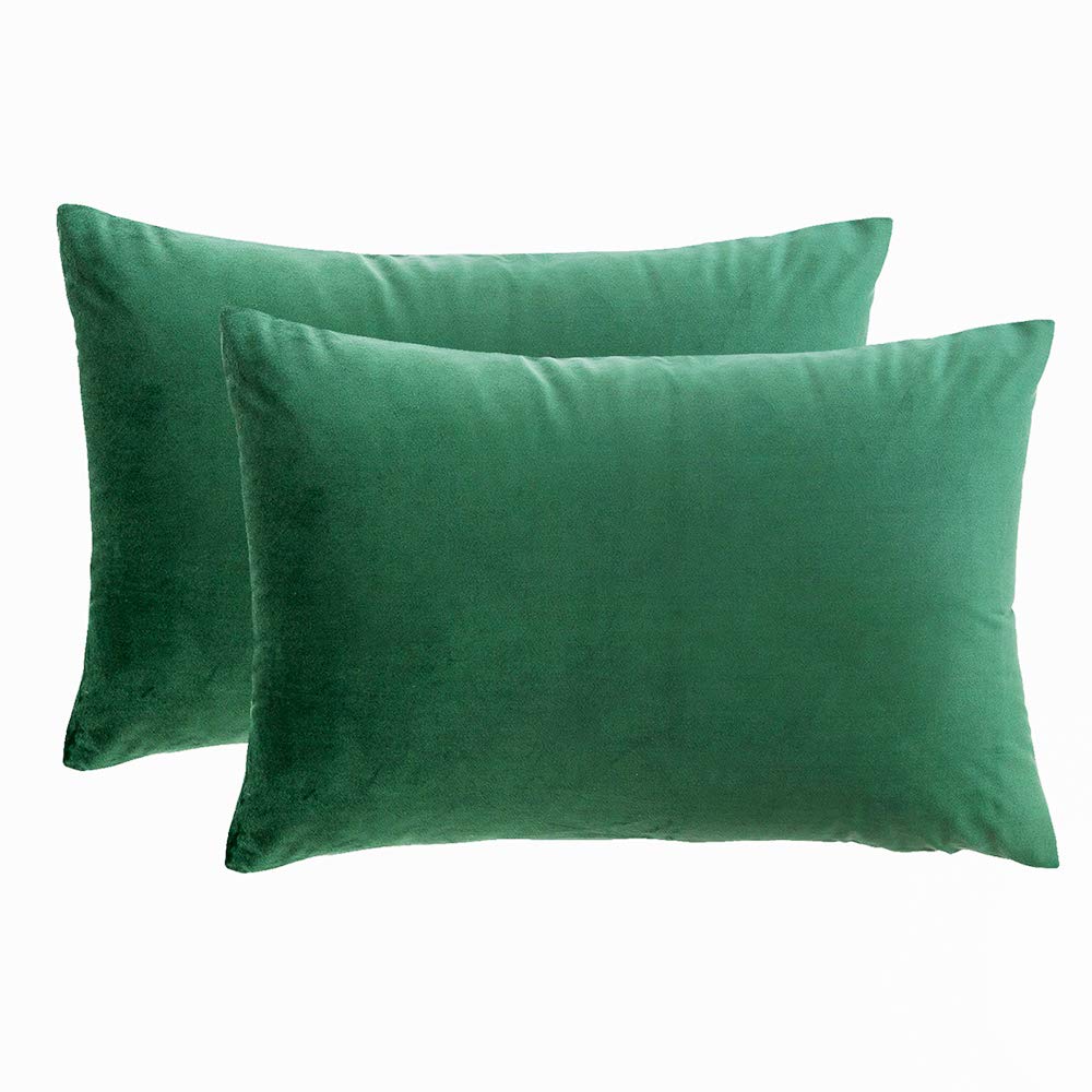 Deconovo Set di 2 Fodera Cuscino Divano con Cerniera Invisibile per Casa in Velluto a Coste 40x40cm Verde Chiaro
