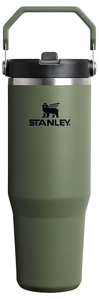 STANLEY IceFlow 2.0 Flip Straw Tumbler with Handle 30 oz | Twist On Lid and Flip Up Straw | Leakproof Water Bottle | Insulated Stainless Steel | BPA-Free | Dried Pine