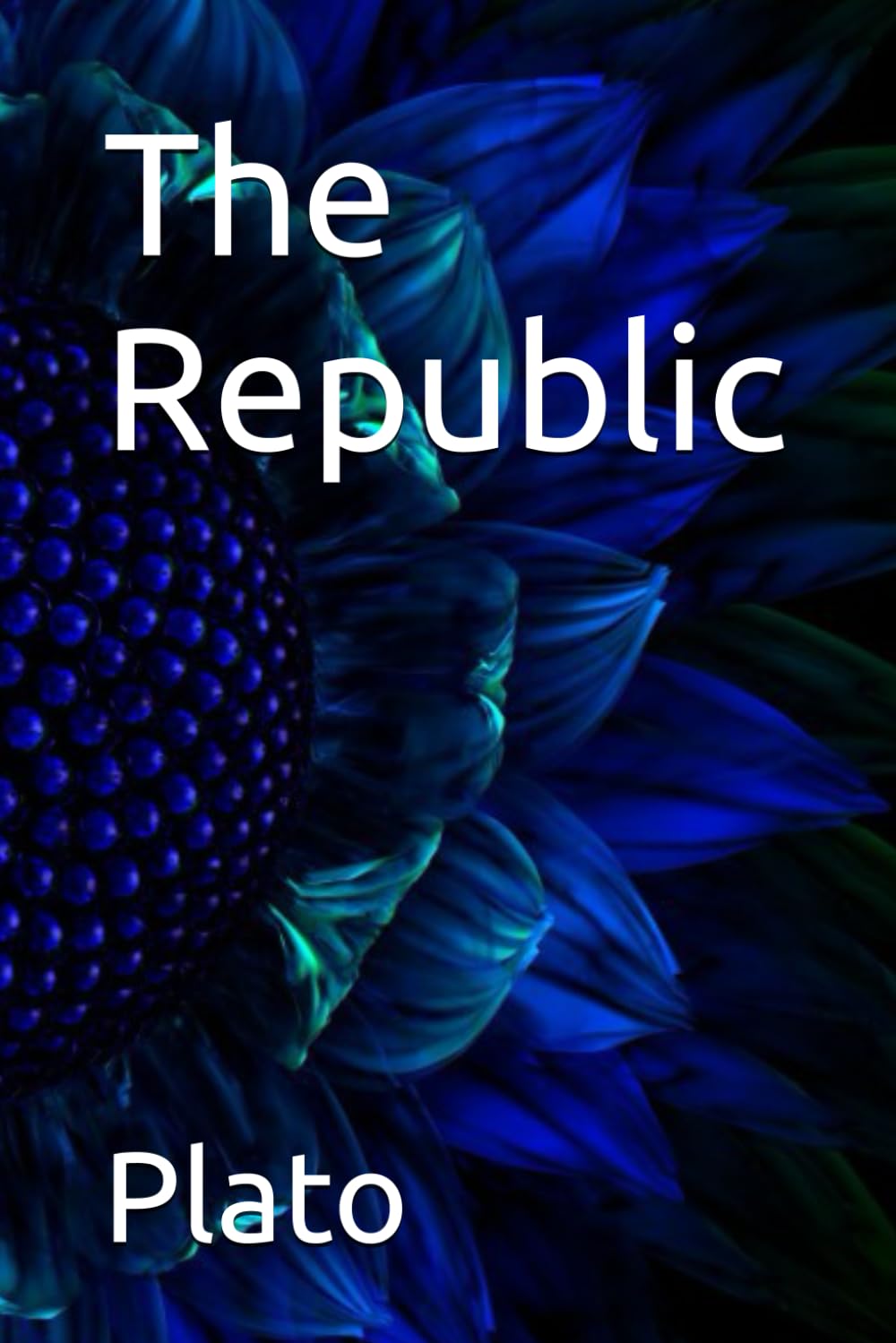 The Republic
