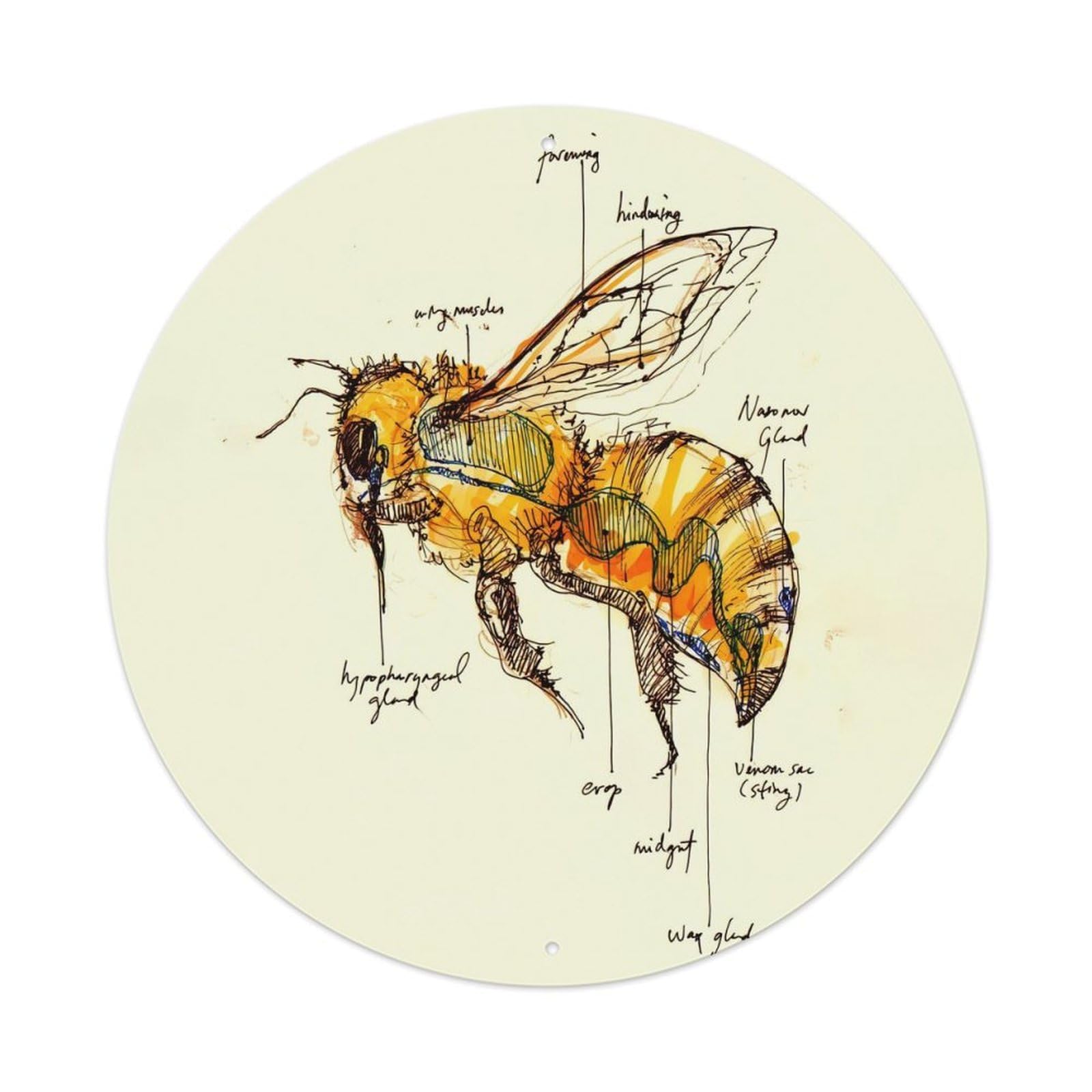 Africanised Bees Animal Vintage Metal Tin Sign Plaque Wall Decor for Cafe, Club Bar, Office, Garden Metal Poster 8x8Inch