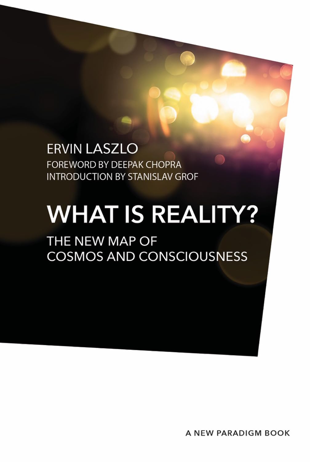 What is Reality?: The New Map of Cosmos, Consciousness, and Existence