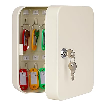 KYODOLED Metal Key Cabinet Wall Mount,Locking Key Organizer,Key Storage Lock Box With Code,Key Management With Key Lock 7.87