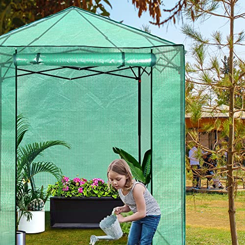 PexFix 6'x 5' Portable Walk-in Greenhouse, Easy Setup, Indoor/Outdoor, 2 Roll-Up Mesh Windows, Roll-Up Zipper Door, Green