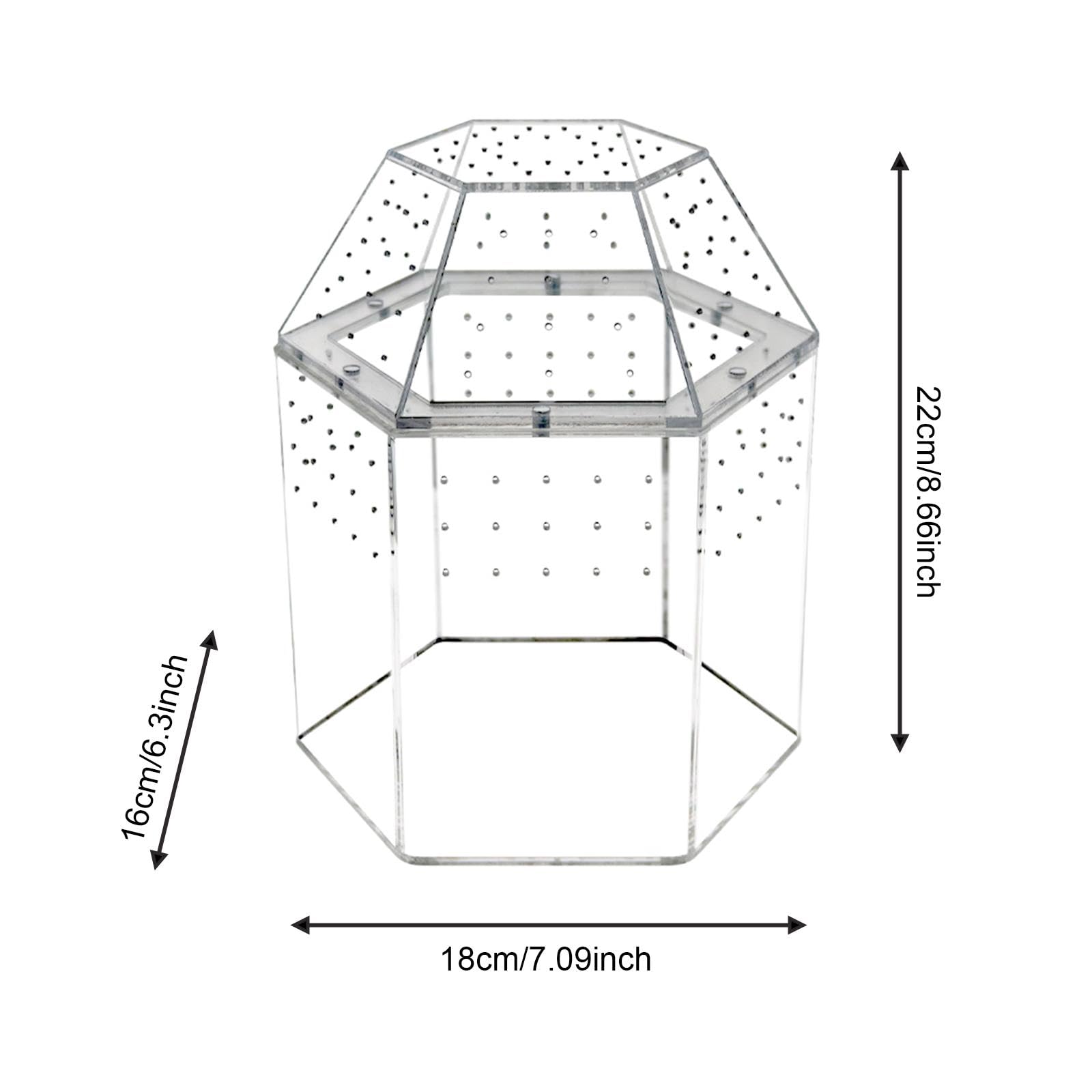 Reptilien Terrarium mit Mehrlochbelüftung, Kleinem Acryl Futternapf, Transparentem Aquarium Und Zubehör – Ideal für