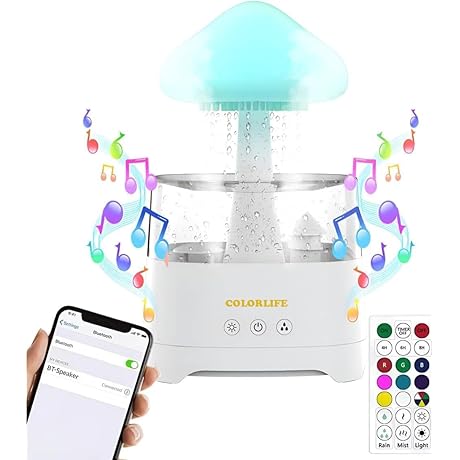 COLORLIFE Rain Cloud Cool Mist Humidifier with Bluetooth Speaker