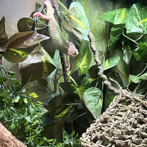 Image of Gecko Coconut Hideout with Ladder,Reptile Hammock Plants Vines Jungle Terrarium Decor Tank Accessories for Crested Geckos,Leopard Geckos,Lizard,Snakes,Tree Frogs