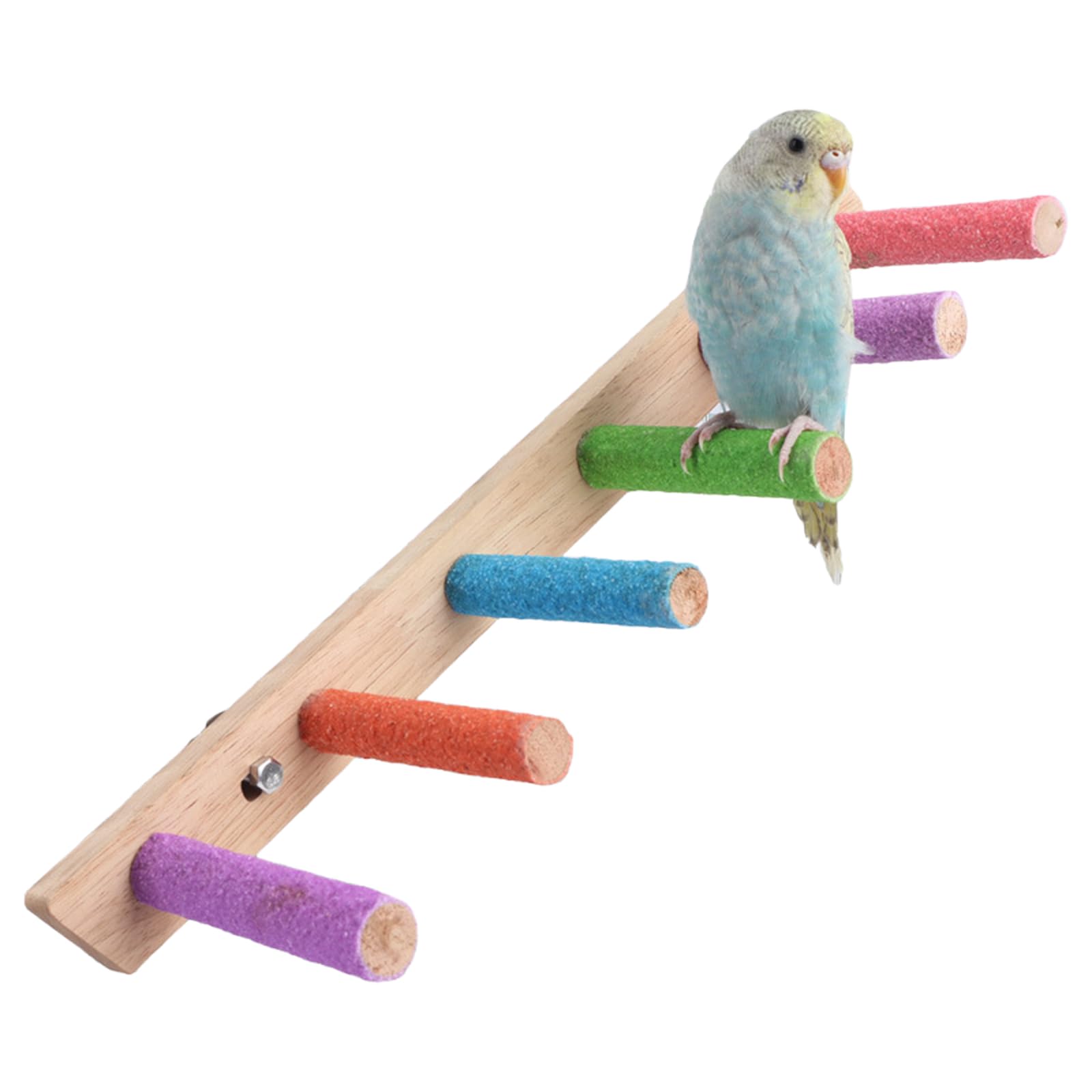 Perchoir à oiseaux en bois avec échelle à 5 barreaux et jouets à mâcher pour perroquet
