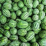 200 piezas de plantas de sandía comprar semillas - semillas de frutas semillas de bonsái plantas de arte para habitaciones semillas de melón melones, plantas de melón, Citrullus lanatus,