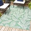 Jonathanysmb119g8nevispalmfrondindooroutdoorarearugcoastalcasualcountryfloraleasycleaningbedroomkitchenbackyardpationonshedding8x10creamgreen  Urban Country Home Decor Jonathan y smb119g 8 nevis palm frond indoor outdoor area rug coastal casual country floral easy cleaningbedroomkitchenbackyardpationon shedding 8 x 10 creamgreen  urban country home decor