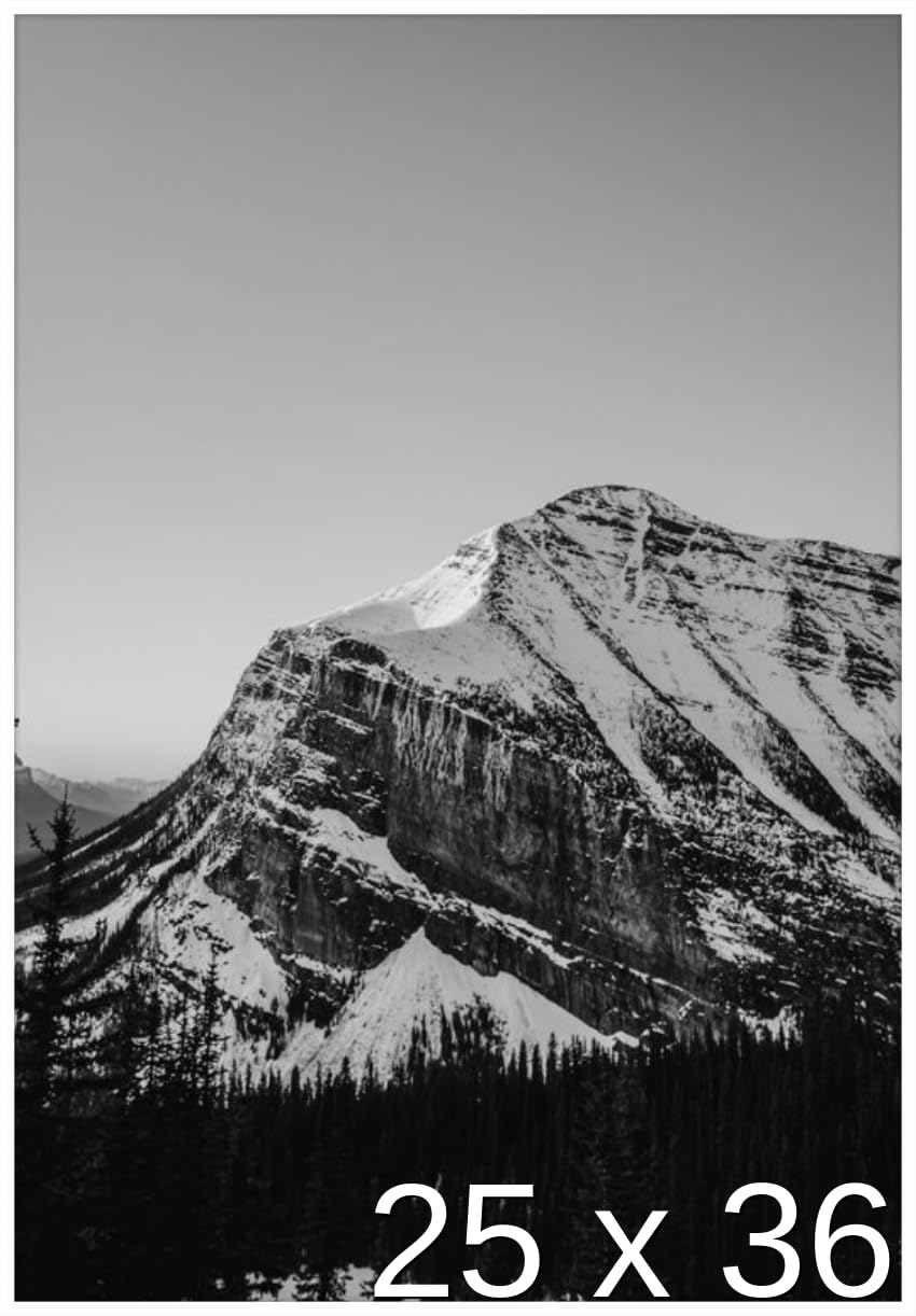 Frame It Easy 25 x 36 White Metal Frame (Ashford)