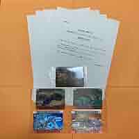 恐竜キング　絵が変わる！ディノテクトオン　カード　まとめ売り 新カード『古代王者 恐竜キング 激闘！ザンジャーク!!第3紀