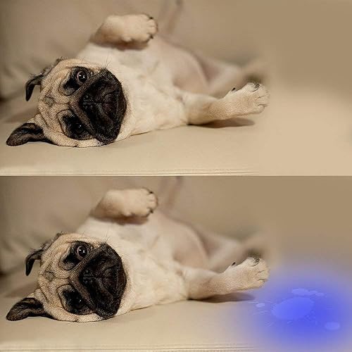 Miniatura 4 de Vansky Black Light UV Flashlight, 2022 Upgraded 51 LED & 12 LED Blacklight Pet Urine Detector for Dog/Cat Urine, Dry Stains, Bed Bug, Matching with