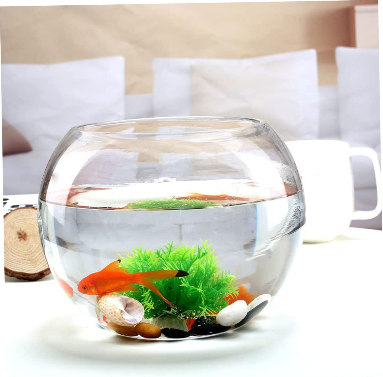 2pcs Round Hydroponic Terrarium Glass Container for Micro Landscape Decorative Plant Propagation Station for Home Office Garden Decor Compact Design Finish