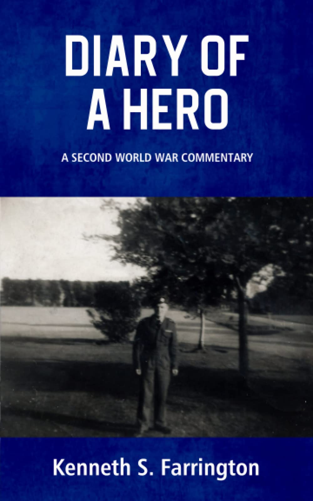 DIARY OF A HERO: A SECOND WORLD WAR COMMENTARY