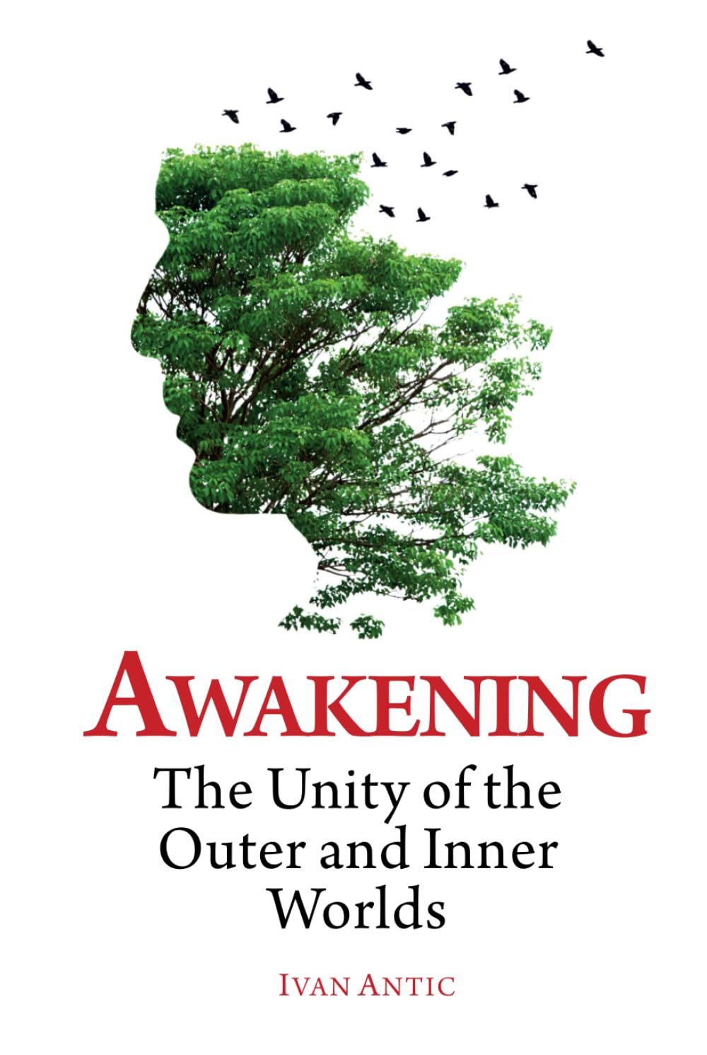 Awakening: The Unity of the Outer and Inner Worlds (Existence - Consciousness - Bliss)