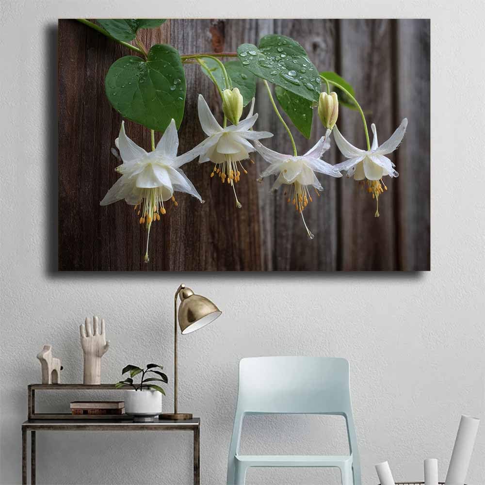 ZAMAEIU Naturalne obrazy krajobrazowe kwitnące globeflowers duże nowoczesne obrazy pejzażowe do salonu, sypialni, łazienki, jadalni (biały)-30x50cm oprawione