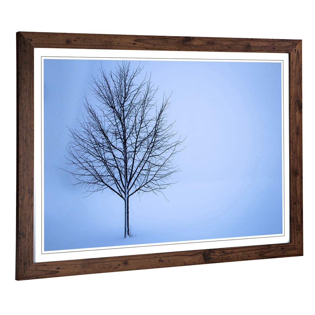 Big Box Art Framed Print of Landscape Lone Tree in The Winter Design | Wall Art Picture | Home Decor for Kitchen, Living Room, Bedroom, Hallway, Walnut, A2 / 24.5x18 Inch / 62x45cm