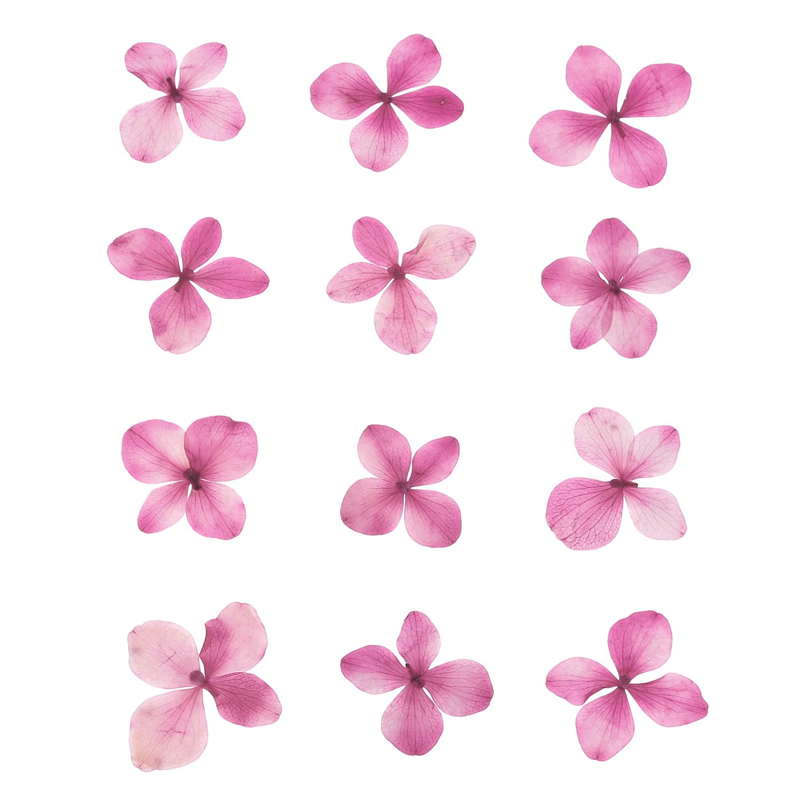 PATIKIL Dried Pressed Flower