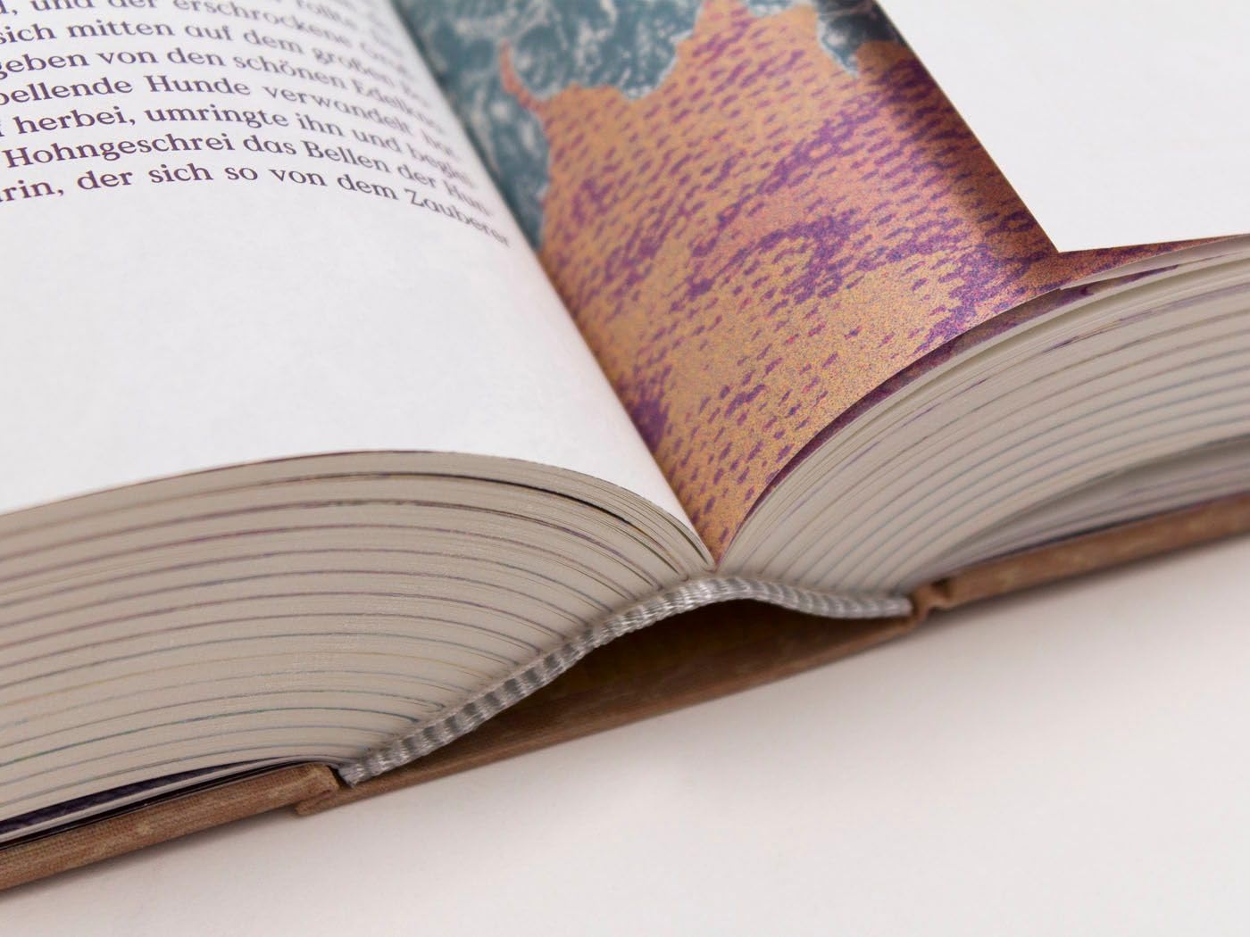Tausend und Ein Tag: Morgenländische Erzählungen (Foliobände der Anderen Bibliothek, Band 16)