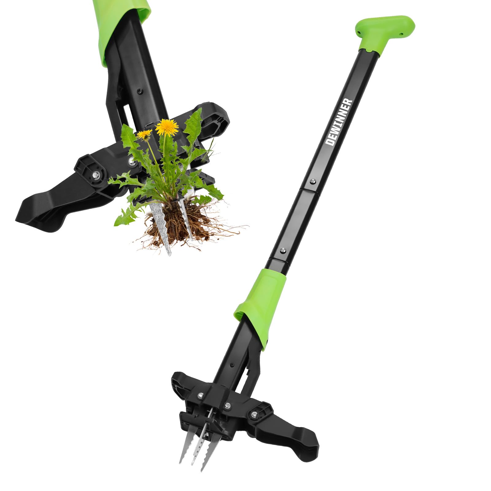 dewinner extracteur de mauvaises herbes