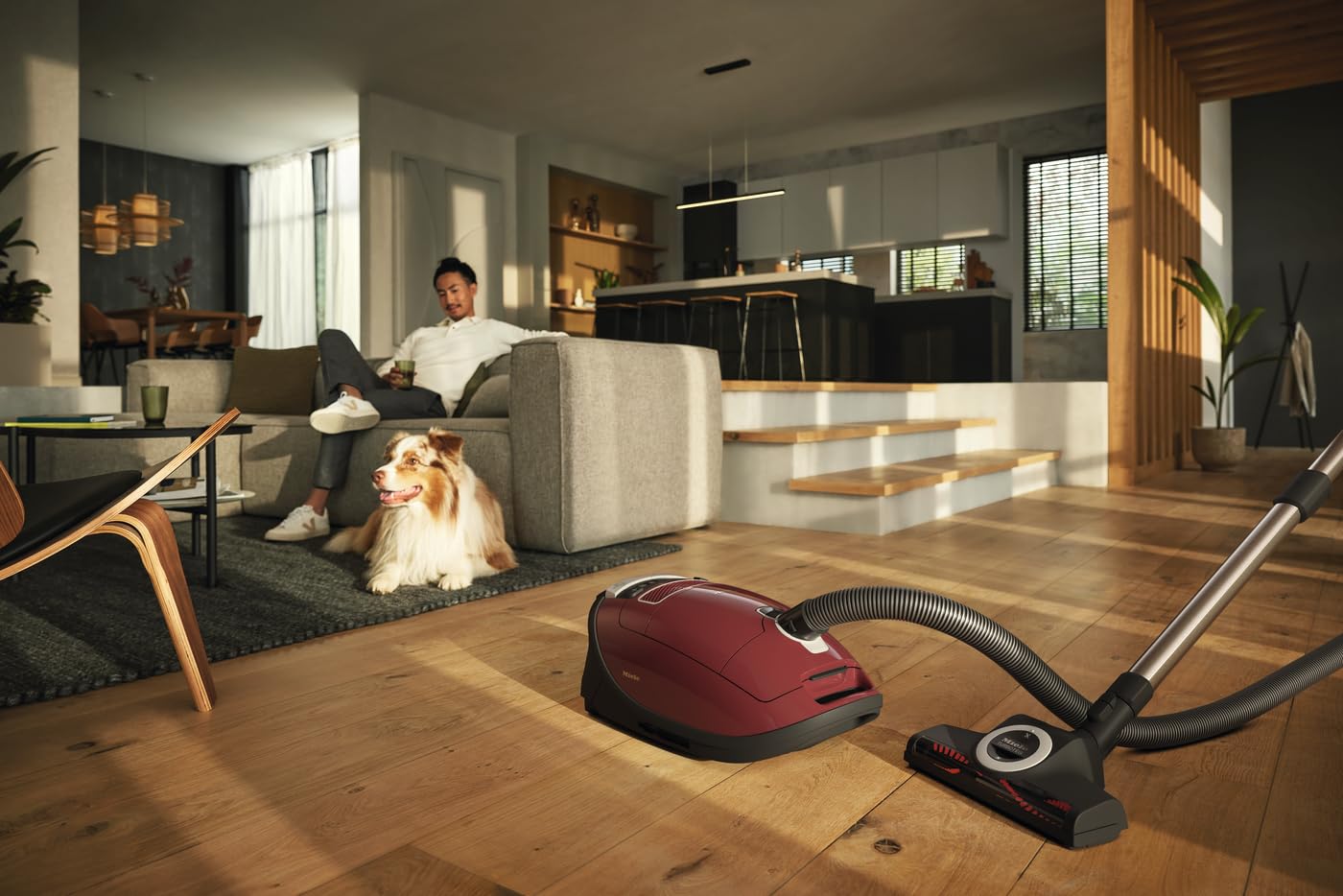 Miele SGEA3 31 Complete C3 Cat and Dog Vacuum Cleaner : Amazon.co
