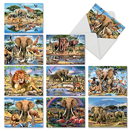 The Best Card Company - 10 Blank Animal Cards Boxed (4 x 5.12 Inch) - Assorted Pets, Zoo, Wildlife Cards for Kids - Savanna Selfies M6640OCB