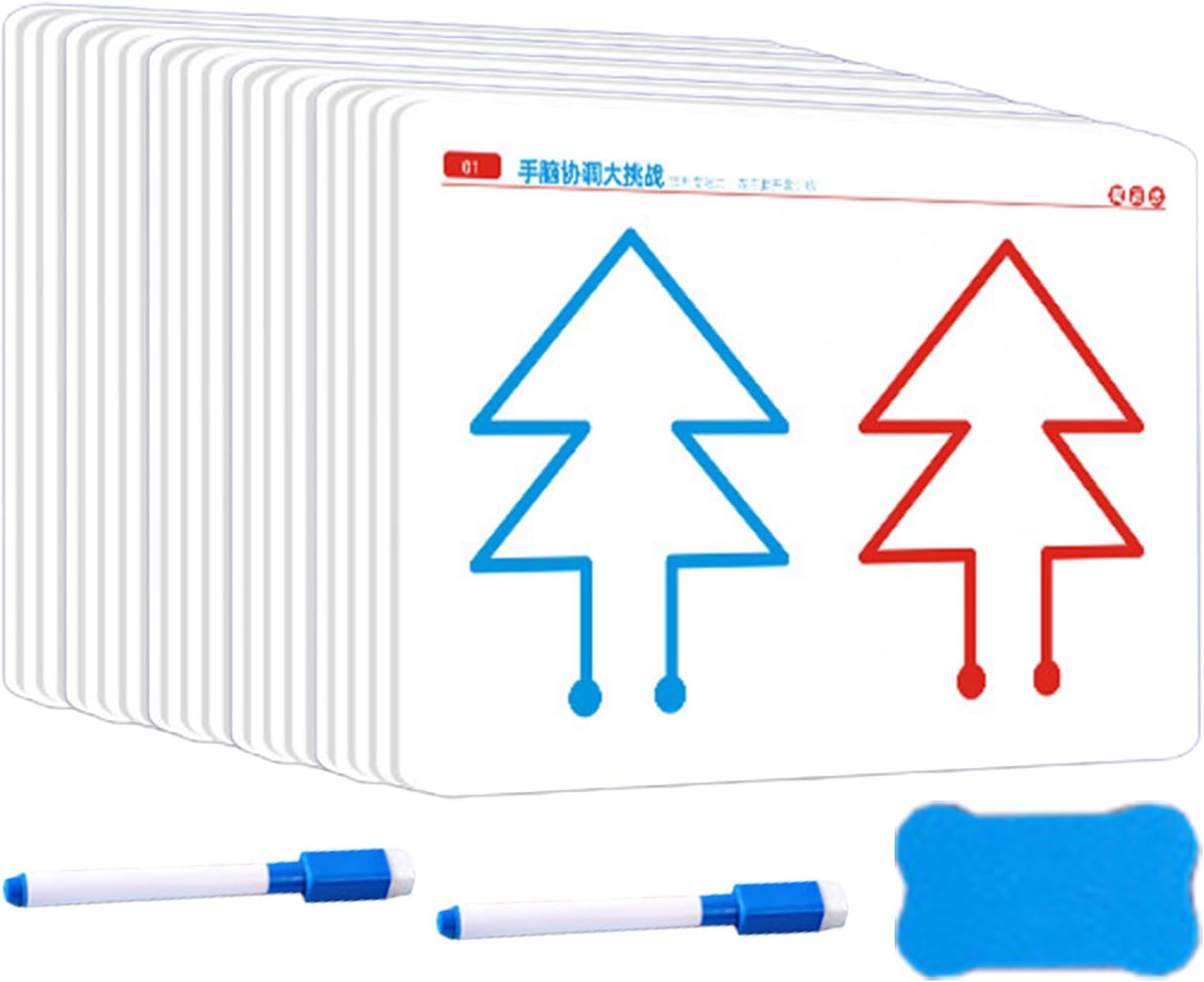Memory Training Card - 20 Pieces Brain Growth, Child Interaction Activity Game | Left and Right Brain Coordination Learning Cards for Kids, Exercise