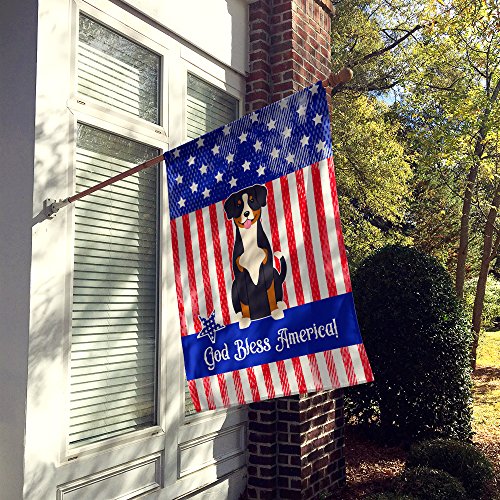 Drapeau Entlebucher USA grande taille multicolore pour décoration extérieure