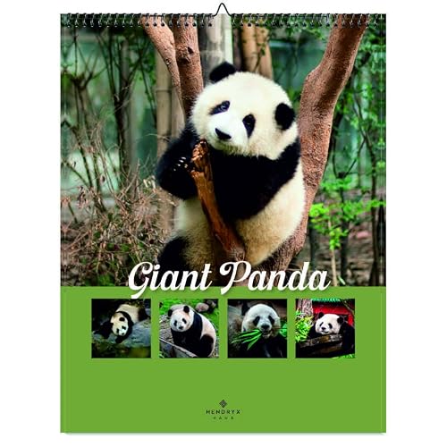 January 2027 - December 2027 Giant Panda Wall Calendar 8.5x11 Monthly Wildlife Photography 12 Month Animal Calendar Stunning Nature Images Gift for Animal Lovers, Kids Adults