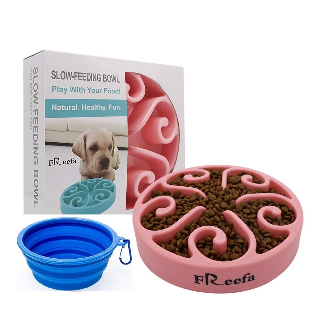 pet fun feeder